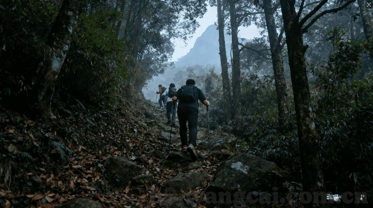 永利集团304下载-全息时代下的创变先锋，永利集团304下载重构商业前景